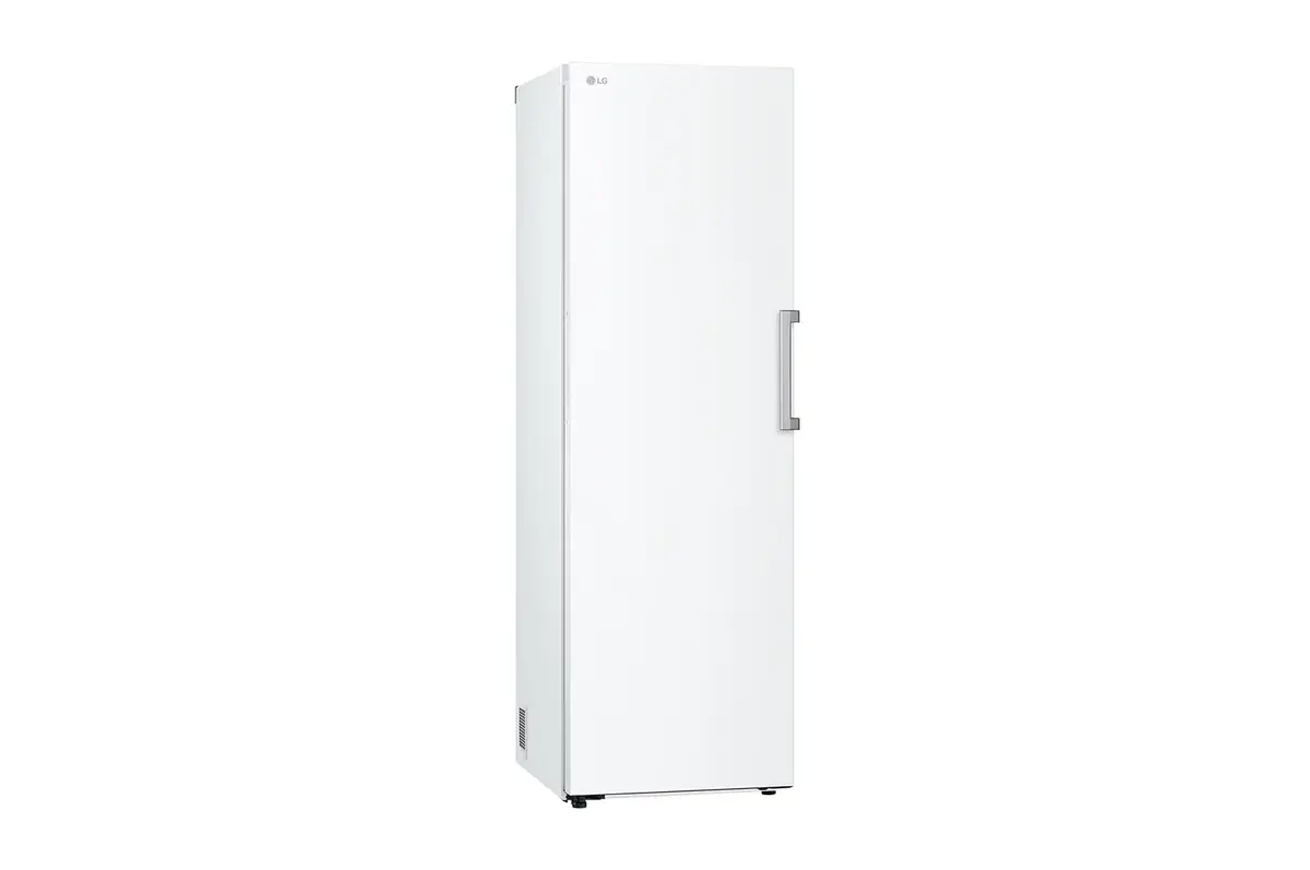 Морозильная камера LG GFT41SWGSF 324 л Photo 6