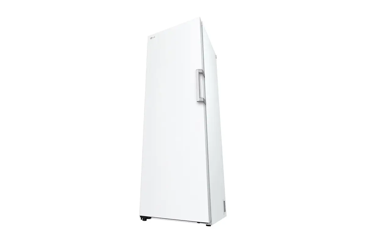 Морозильная камера LG GFT41SWGSF 324 л Photo 7