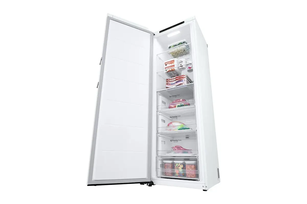 Морозильная камера LG GFT41SWGSF 324 л Photo 8