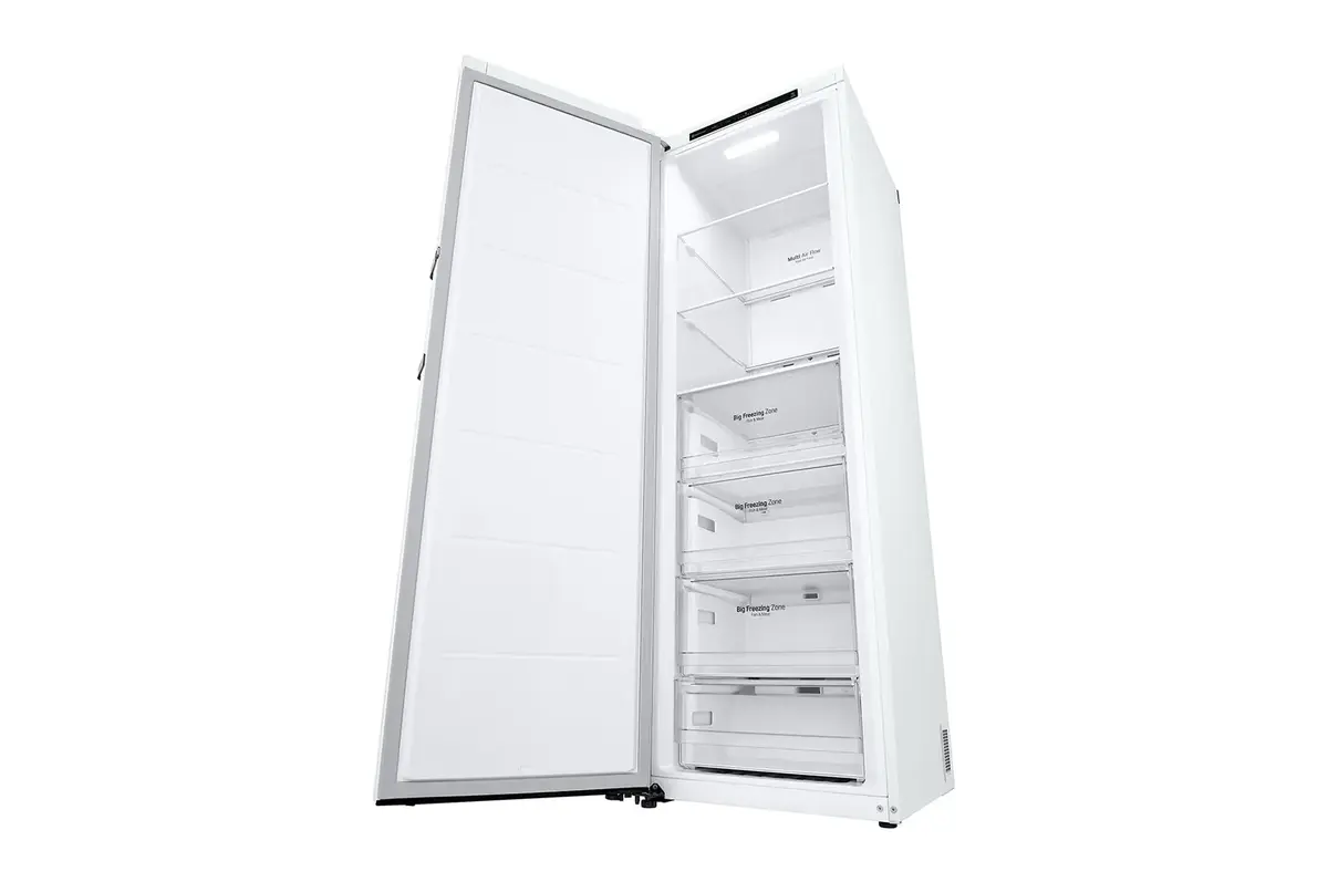 Морозильная камера LG GFT41SWGSF 324 л Photo 9