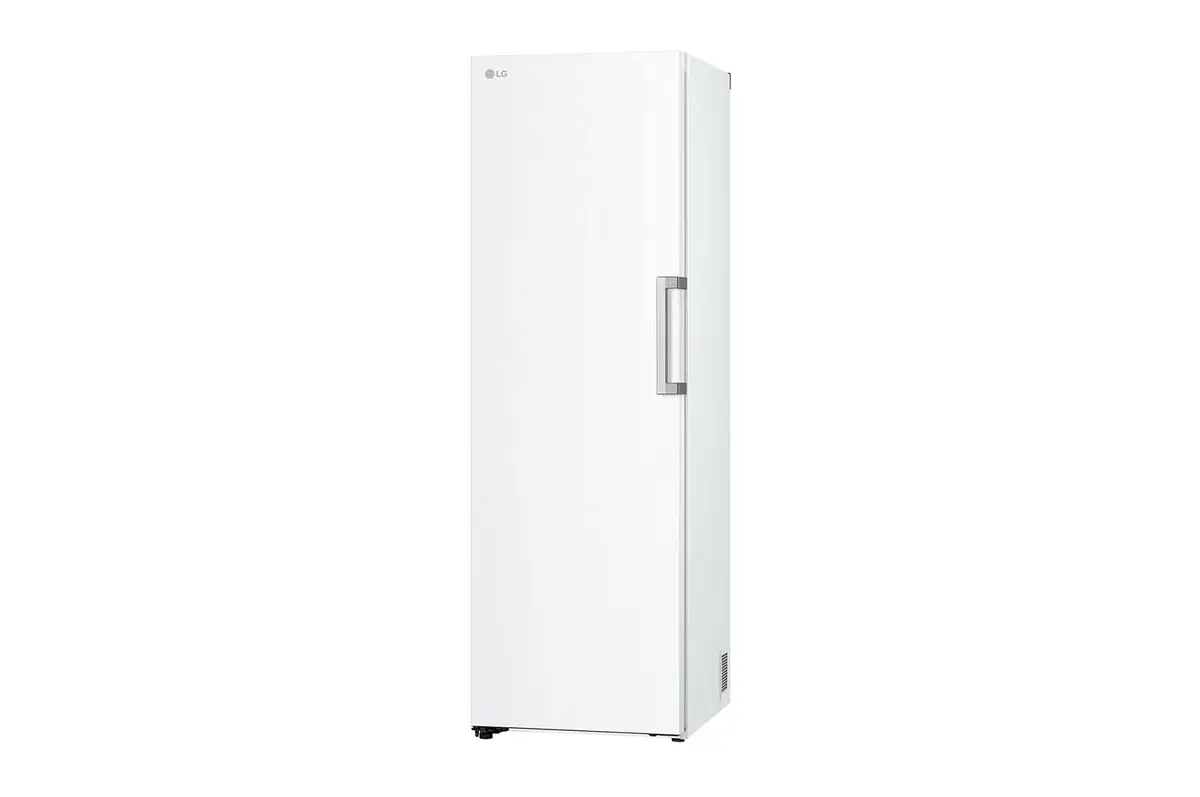 Морозильная камера LG GFT41SWGSF 324 л Photo 10