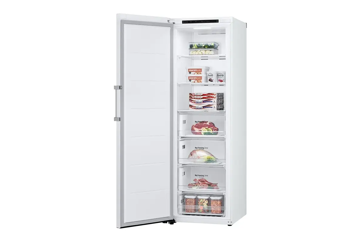 Морозильная камера LG GFT41SWGSF 324 л Photo 11