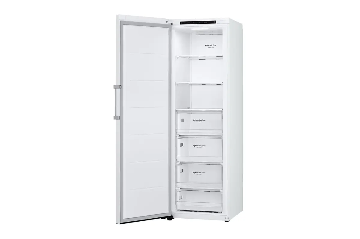 Морозильная камера LG GFT41SWGSF 324 л Photo 12