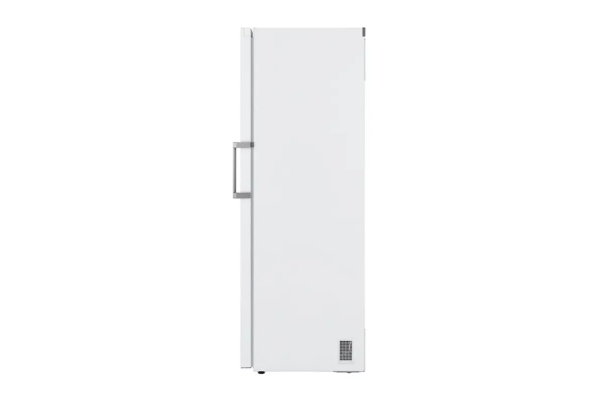Морозильная камера LG GFT41SWGSF 324 л Photo 13