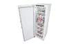 Морозильная камера LG GFT41SWGSF 324 л Photo 14