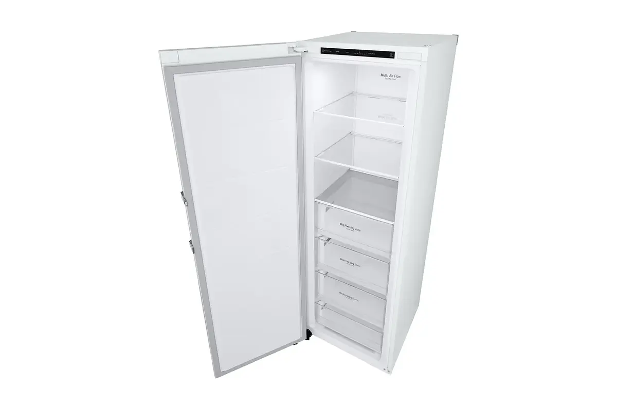 Морозильная камера LG GFT41SWGSF 324 л Photo 15