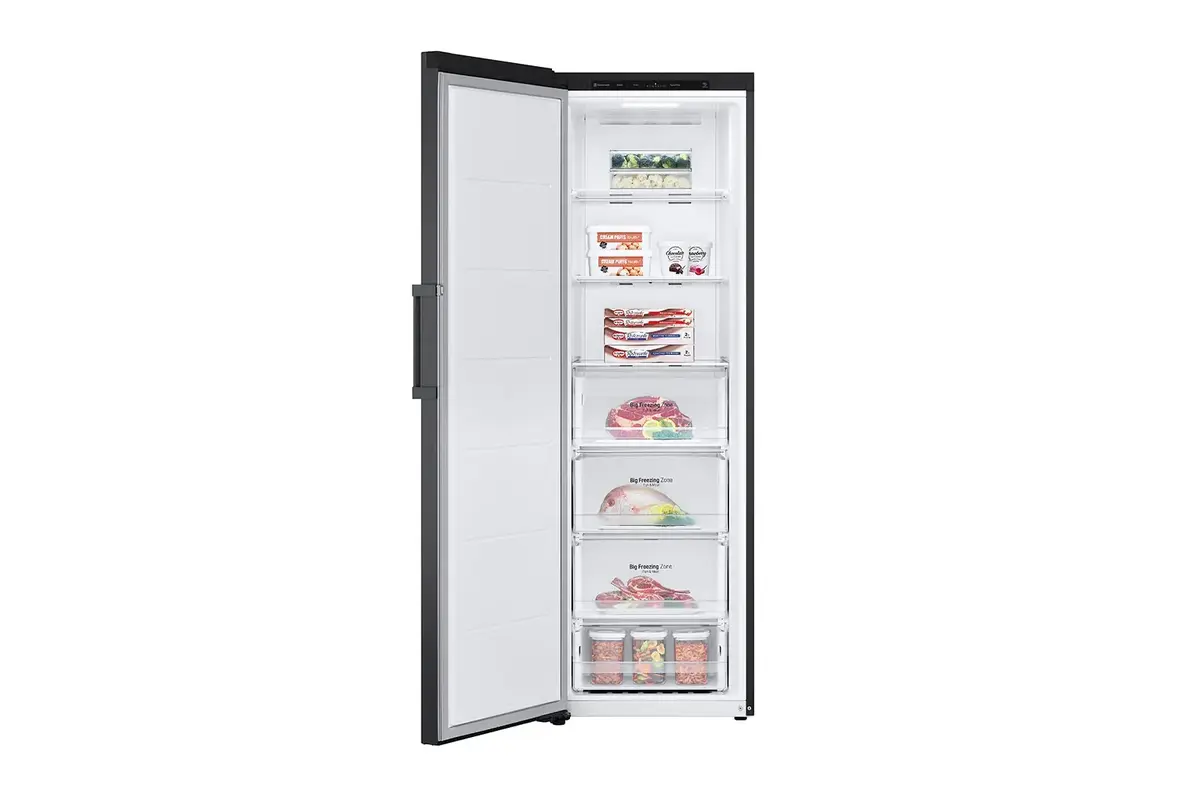 Морозильная камера LG GFT41MCGSF Photo 2