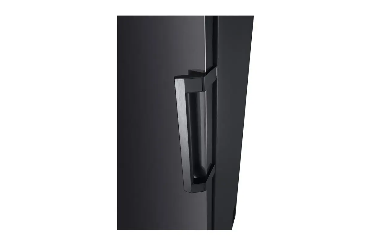 Морозильная камера LG GFT41MCGSF Photo 4