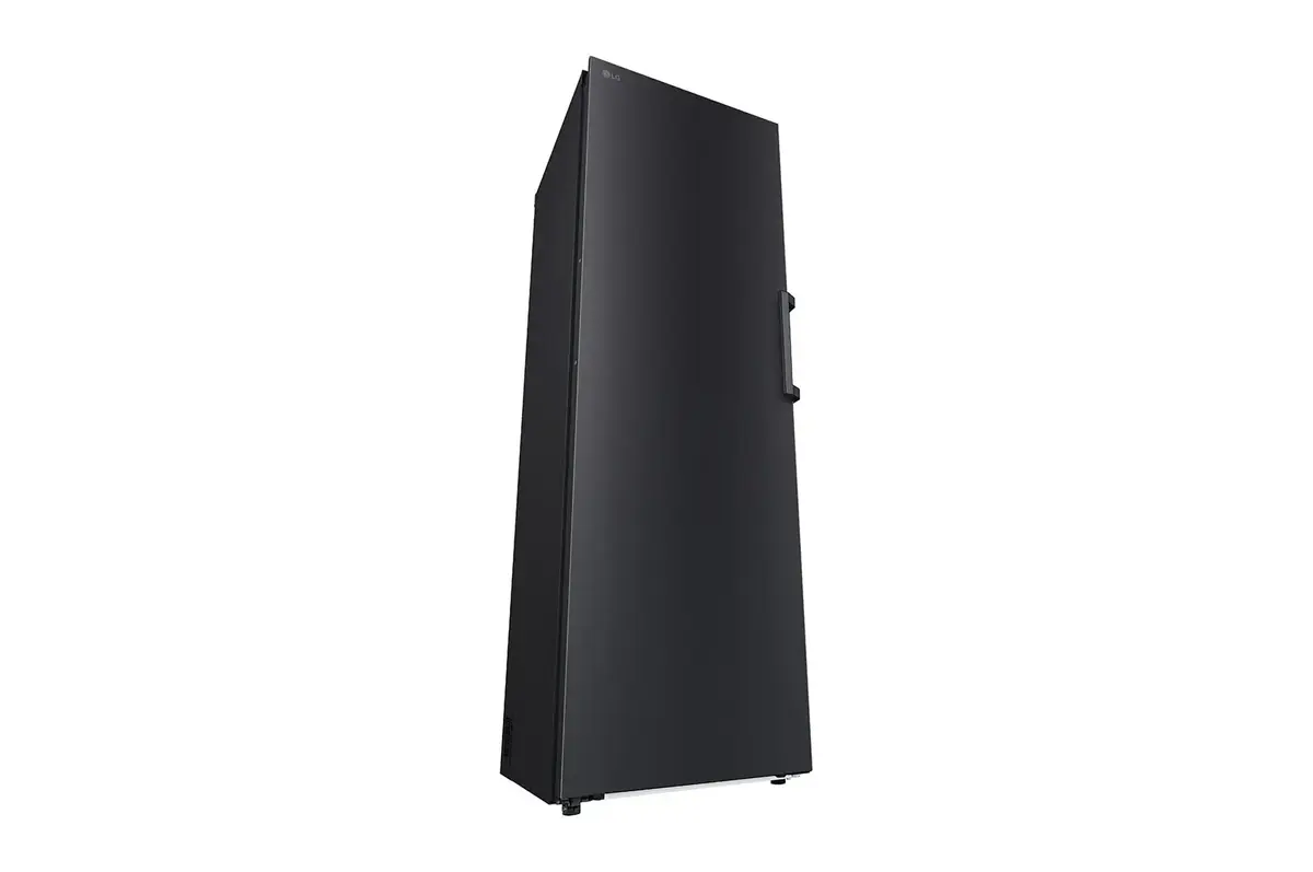 Морозильная камера LG GFT41MCGSF Photo 5