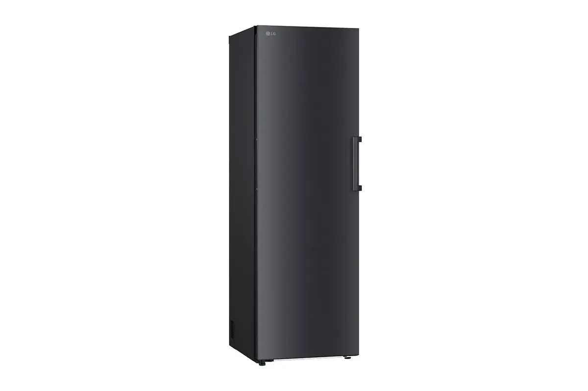 Морозильная камера LG GFT41MCGSF Photo 6