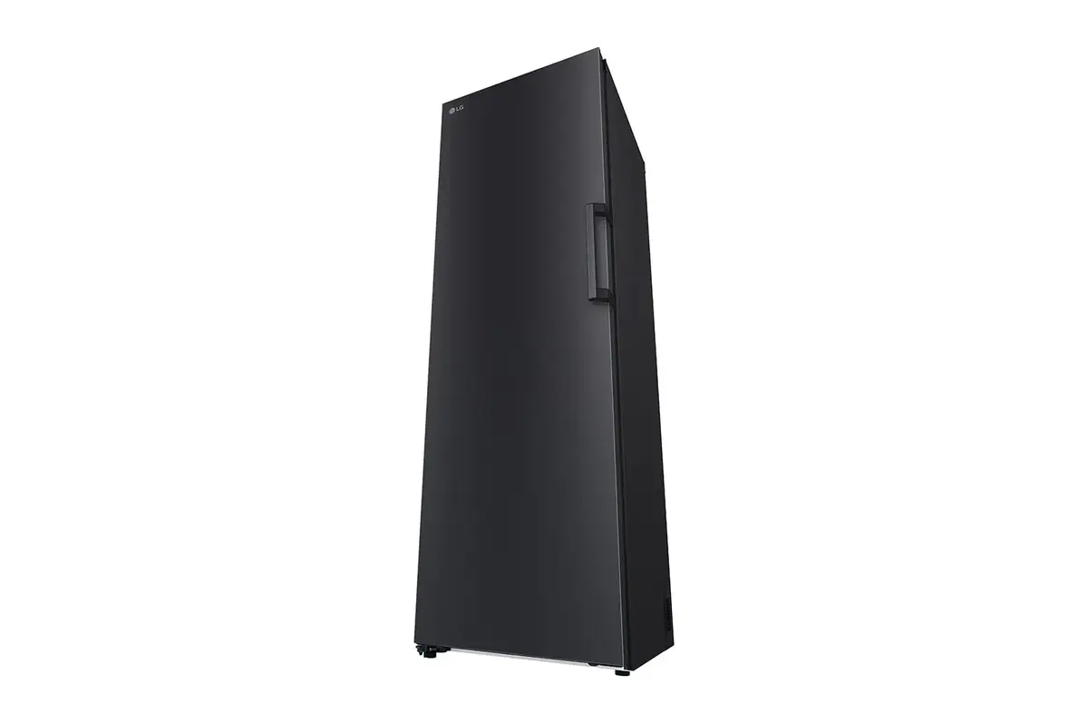 Морозильная камера LG GFT41MCGSF Photo 7