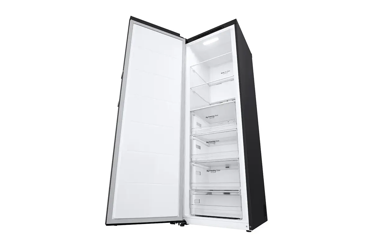 Морозильная камера LG GFT41MCGSF Photo 9