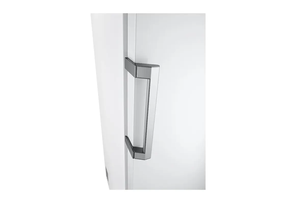 Холодильник LG GLT51SWGSF Photo 6