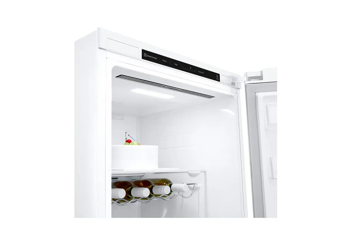 Холодильник LG GLT51SWGSF Photo 7
