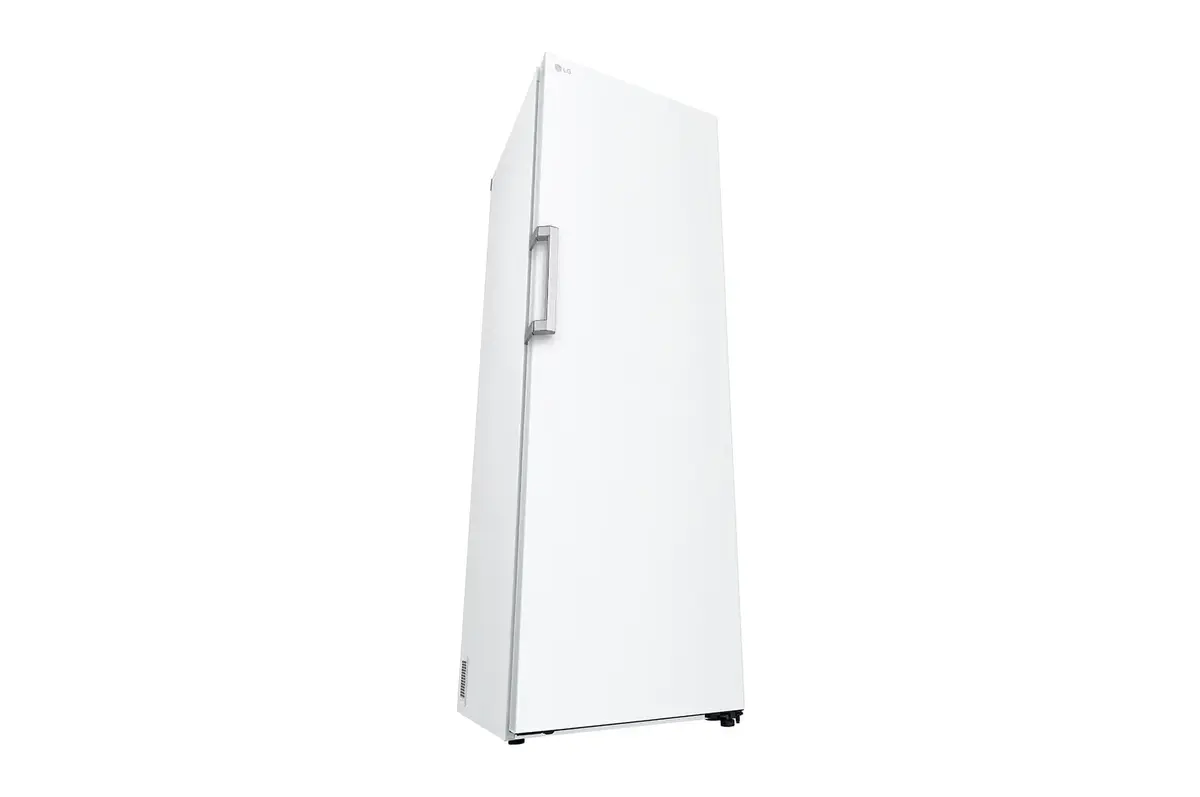 Холодильник LG GLT51SWGSF Photo 8