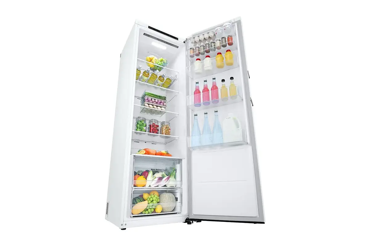 Холодильник LG GLT51SWGSF Photo 9