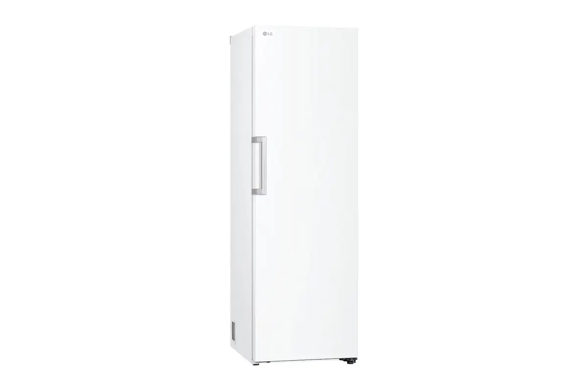 Холодильник LG GLT51SWGSF Photo 11