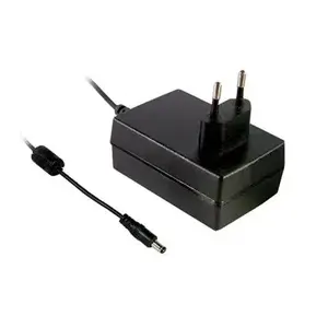MEAN WELL GSM36E12-P1J адаптер питания / инвертор 36 W
