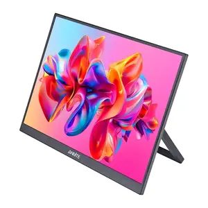 Anmite A160W03 16-inch Portable Monitor