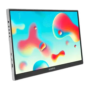 Anmite A160W04 16-inch Portable Monitor
