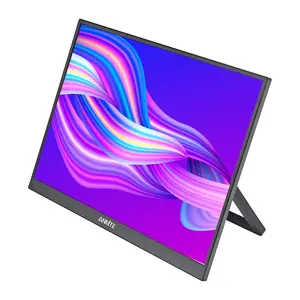 Anmite A160W24H 16-inch Portable Monitor