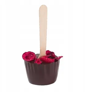 M.Pelczar Chocolatier Chocostick Dark Chocolate with Cranberry 60g
