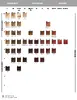 Goldwell Topchic The Browns 7RB Hair Colour 60 ml Photo 2