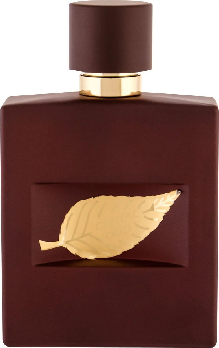 Perfumes for Him