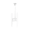 SMS Func Ceiling Mount for 60-inch Displays Photo 5