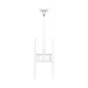 SMS Func Ceiling Mount for 60-inch Displays Photo 7