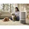 Gaisa attīrītājs Electrolux Pure 500 XL PetCare Photo 3