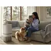 Gaisa attīrītājs Electrolux Pure 500 XL PetCare Photo 4
