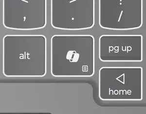<p>Copilot+ Smart Key</p>