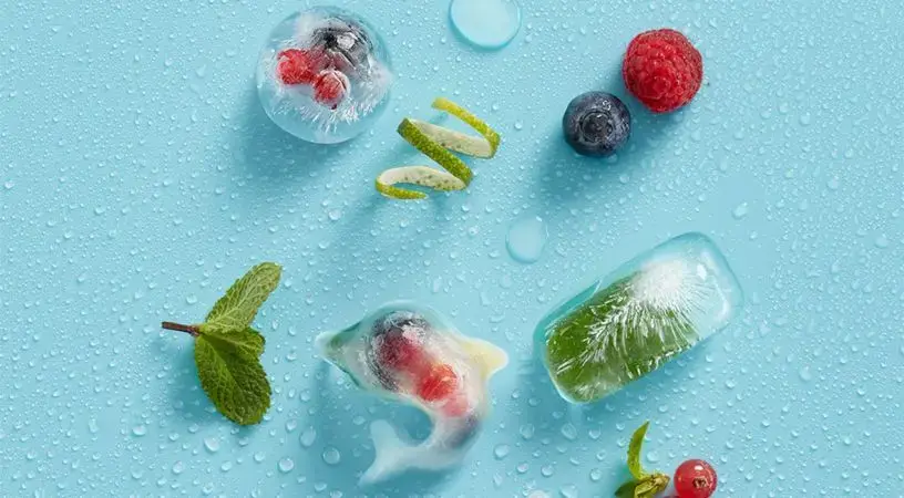 Lékué 882500 ice tray 882500 Photo 7