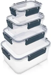 Набор контейнеров для пищевых продуктов Excellent Houseware с крышками и уплотнением, 4 шт.