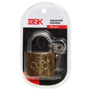 Навесной замок BESK 25AR029-5 50 мм с 3 ключами