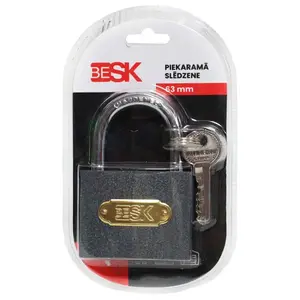 Навесной замок BESK 25AR031-1 с 3 ключами, 63 мм, стальной корпус