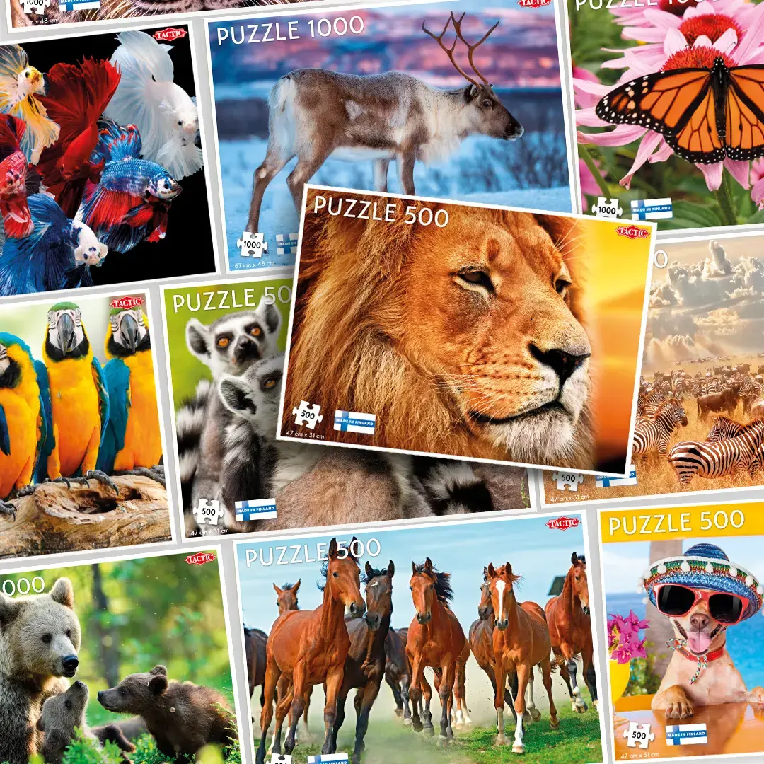 Tactic African Lion 500 pcs 58306 Photo 2
