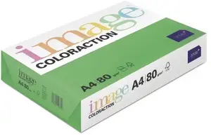 Бумага для копирования Antalis Image Coloraction A4 80г Dublin Deep Green 500 листов