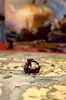 Tactic Seas of Fortune 56874 Photo 5