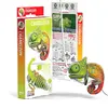 Eugy Chameleon 650075 Photo 3