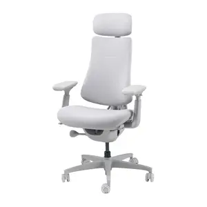 Ergonomisks krēsls LiberNovo Omni Dynamic, 45 cm, pelēks