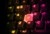 Steelseries Apex 3 TKL keyboard 64836 Photo 6