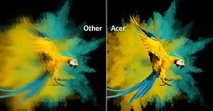 Fluid Motion, Fluid Creativity