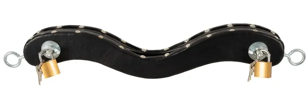 ZADO Le Humbler Leather-Covered Wooden Pillory Photo 2