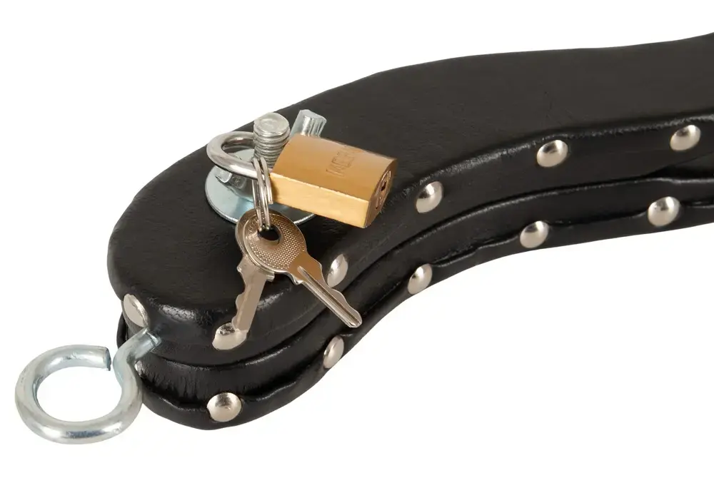 ZADO Le Humbler Leather-Covered Wooden Pillory Photo 7