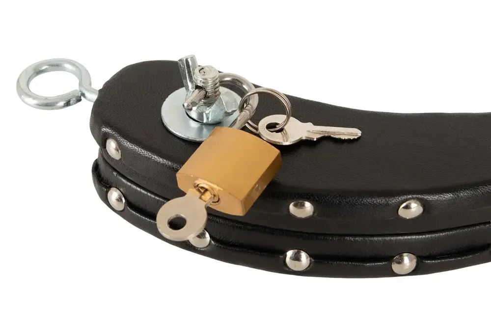 ZADO Le Humbler Leather-Covered Wooden Pillory Photo 9