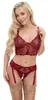 Cottelli Collection Bra Set with Chains - Dark Red Lace Photo 2