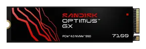 SanDisk Optimus GX 7100 4 TB M.2 NVMe PCIe 4.0 SSD disks