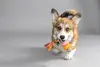 Flamingo TPR Bunty Rings Dog Toy 20 cm Photo 2